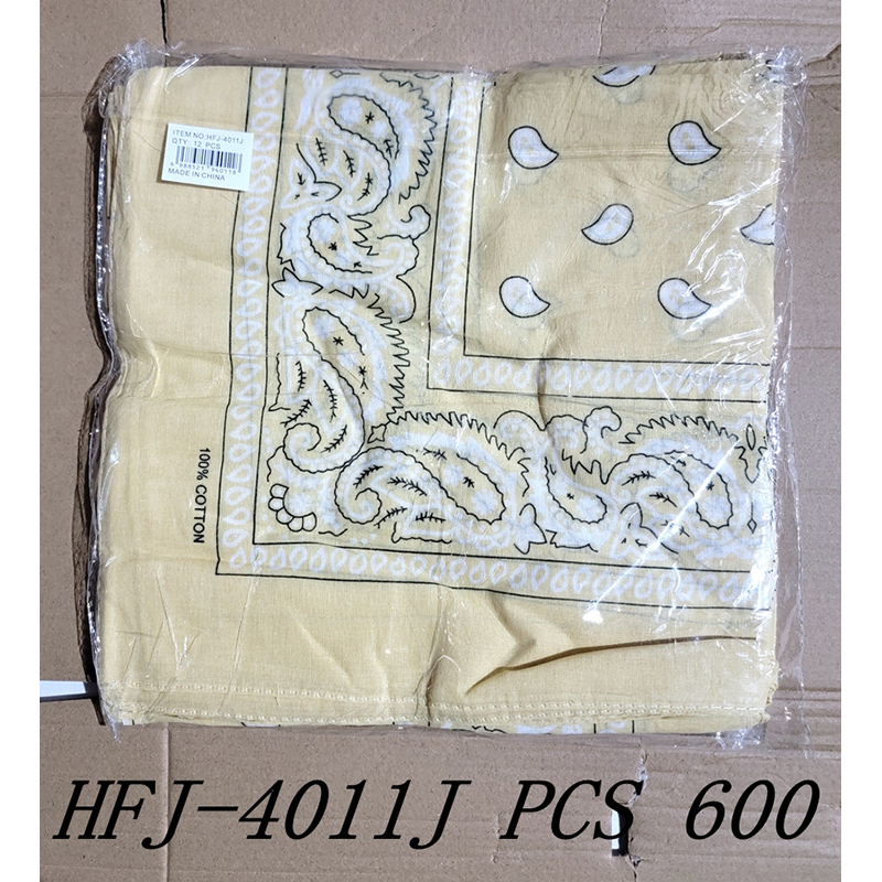 HFJ-4011J CS600